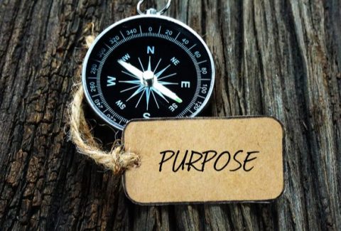 businesspurpose