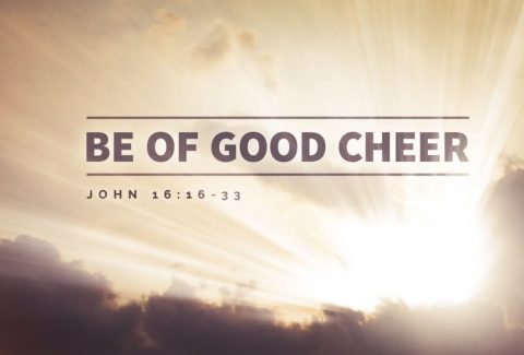 Of Good Cheer in his presence devo