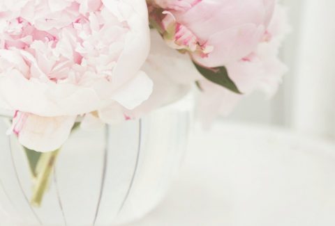 A-Wise-Woman-Builds-Her-Home- devotional