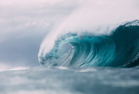 new wave in his presence devotional