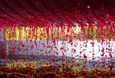 winepressing in his presence devotional