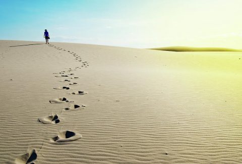 what's your dream 3 in his presence devotional