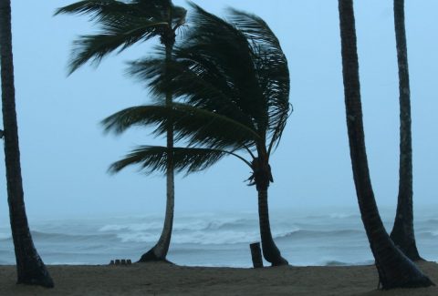 wind devotional