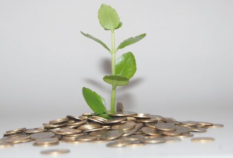create wealth