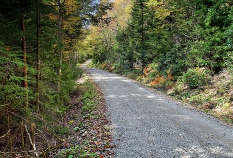 gap wilderness devo