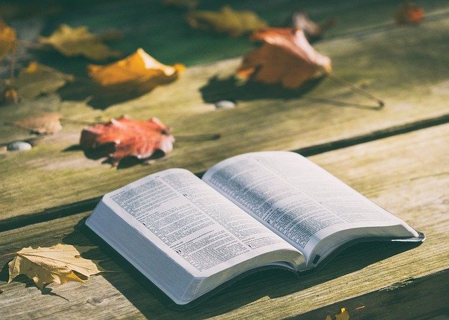 bible on bench