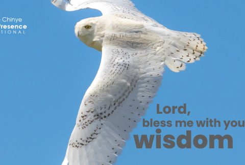 God's wisdom