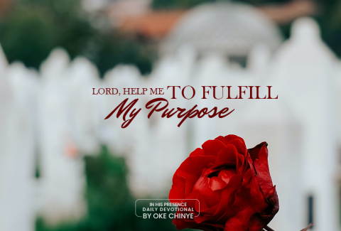 your purpose in earth